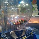 나누미3 이미지