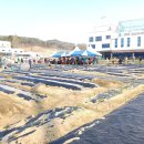 보배농장 | 9기 개장식(5주 차) 후기, 상추 모종심기, 완두콩...심기, 대파 모종심기, 주말농장, 귀농, 텃밭, 도시...