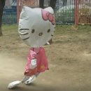 그냥네일샵 네이버블로그