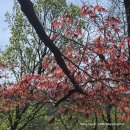 상두그레이 | 김포 가현산 카페 상두그레이 후기 등산 후 들르기 좋은 베이커리 카페