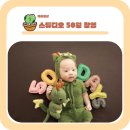 롤롤스튜디오 | 스튜디오 촬영 후기 / 아기사진 / 만삭사진 / 담다스튜디오