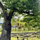 한반도태권도장 이미지