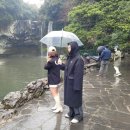 제주도 가족여행 2일차| 팔순잔치 기념 제주여행 (천지연 폭포, 여미지 식물원, 요트체험, 족욕)