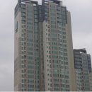 강남-080 이미지