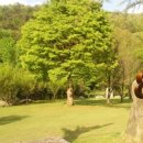 금광농원 이미지