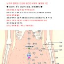 남자의 정력과 건강에 좋은 혈자리 이미지