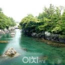 흐르는 물은 웅덩이(법원이대통령후보를제단하는 허깨비)를 만나면 다 채운,변혁(1.대법관증충원2.재판헌법소원제도)후에야 흐를 수 있나니 이미지