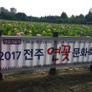 사진전시 Daum카페
