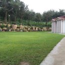 금오도황토민박 이미지