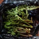 운문마을회관 이미지