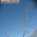 일식농장 이미지