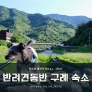 지리산봉쥬르펜션 | [전남 구례] 반려견 동반 | 전남 구례 숙소 추천 #풍경맛집 #공기맛집 #물소리맛집