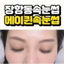 메이퀸헤어 | 장항동속눈썹 ㅣ 속눈썹 연장 유지 잘 되는 곳 메이퀸 속눈썹 후기