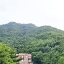 숲속의바다 바다동 이미지