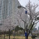 충무 | 충무랑 국수랑 후기 | 가성비를 넘어선 정성의 맛을 지닌 창포동 충무김밥 맛집