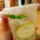 오빠티쉐