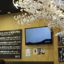 아비꼬 상무점 이미지