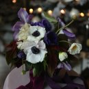 영문캘리모던서체 이미지