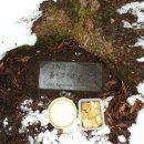 창수목장 이미지