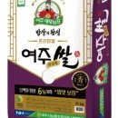 진상미로 이미지