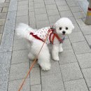 박미배드민턴장 화장실 이미지