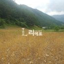 하이원펜션 이미지