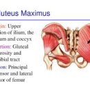 에이치클릭 이미지