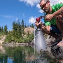 엠에스알 이미지