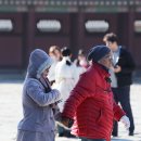 내일사진관 이미지