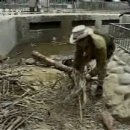 비버 pc방 이미지