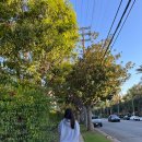 아르더 골프(ARDOR GOLF) | 블랙프라이데이에 지갑 탈탈 털린 쇼핑 후기(폴로 케이블니트 사이즈팁 보이즈,우먼,맨즈)