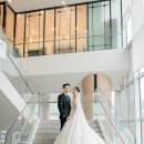 로제포토그래피 이미지