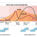 5가지 생리통 원인, 여성호르몬 변화에 따른 증상과 불균형증상 이미지