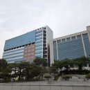 앗! 타이어 펑크로 일정이 뒤죽박죽된 후기!!