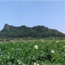 김동순농장 티스토리