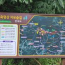 축령산편백나라 이미지