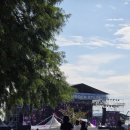 국제케미칼 | 뒤늦게 쓰는 2025 부산국제록페스티벌 부락페 후기