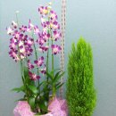 신탄진고등학교 이미지