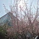 서울신암초등학교 | 강동구 암사동아파트 선사현대아파트 임장