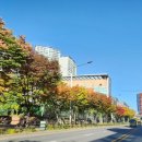 잠실파크리오아파트앞 이미지