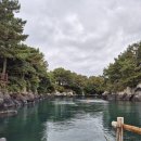 태우농장 | 제주 가족여행 총정리｜가볼만한곳·숙소·먹거리 한 번에