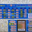 홍도회타운
