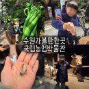 국립농업박물관 | 수원 국립농업박물관 아이와 곤충 체험 후기ㅣ어린이박물관 예약 주차 식당 카페 도시락 등 총정리