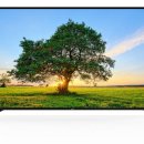 대우전자 이미지