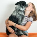 관양동물병원 이미지