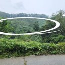 대명임업 - 홍천군 | 대명임업