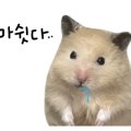 배스킨라빈스목포석현점