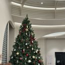 근육다짐 | 새해 다짐 다이어트 도전! 명동다이어트병원 지방분해주사 후기