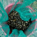 뚝지펜션 | 홍천강 다슬기 많이 나오는 가족 단체 펜션 내 돈 내산 후기