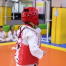 학사태권도장 이미지